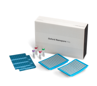 Rapid Barcoding Kit 96 V14